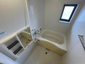 エミネンス川崎 0201号-5