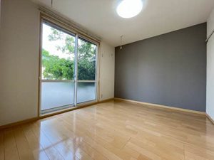 ブランシェ藤森 C101号-13