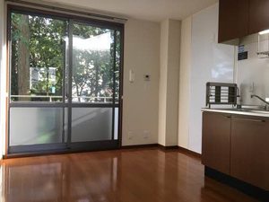 リビエレット・オジェⅠ A102号-2