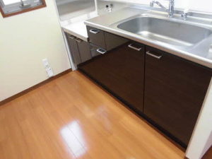 ディアス円楽 0102号-8