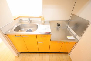 キャピトル リーフ A203号-8