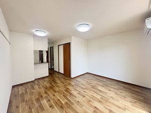 ルミエール三谷北 0203号-3