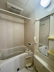 ルミエール三谷北 0203号-11