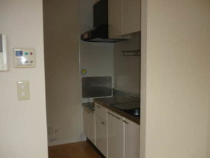 ディアスイデウラ 0201号-3