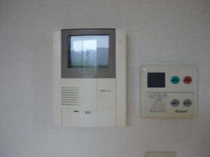 ディアスイデウラ 0201号-9