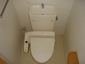 ディアスイデウラ 0201号-12