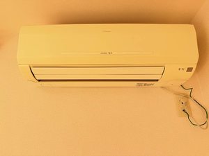 ディアスイデウラ 0201号-15