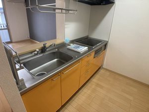 フェリックス－Ｆ 0203号-3