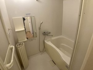 フェリックス－Ｆ 0203号-4