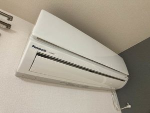 フェリックス－Ｆ 0203号-9