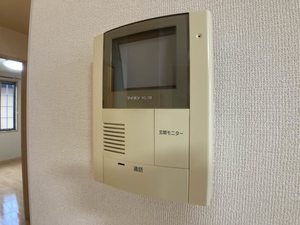 フェリックス－Ｆ 0203号-11