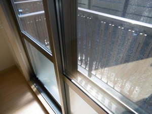 ディアス　カーム 0102号-6