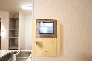 メイユール 0103号-13