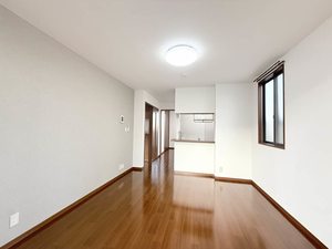 マインコート B101号-2