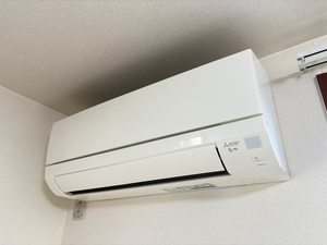 ドリカム 0101号-12