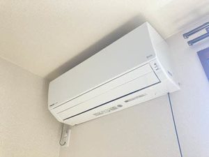 サニーコート C202号-13