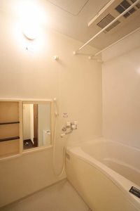 メゾンポラリス 0102号-12
