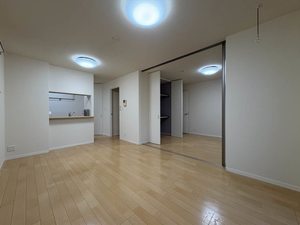 セネシオ A102号-2