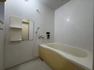 セネシオ A102号-5