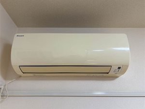 セネシオ A102号-11