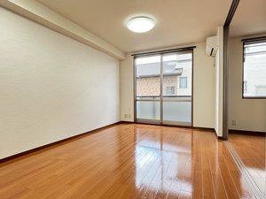 アピタシオン 0102号-2