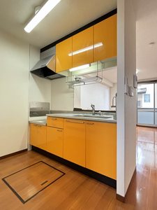 アピタシオン 0102号-9