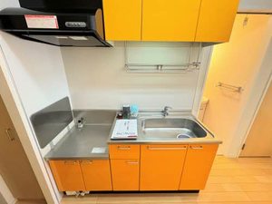 ディアス内川 E201号-8