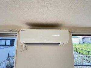 フローラ B101号-10