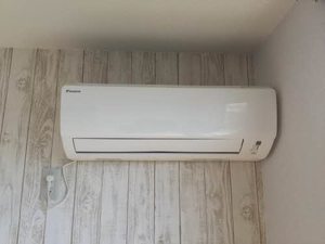 メ・ステッソ B101号-9