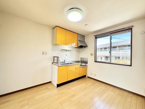 メ・ステッソ C202号-7