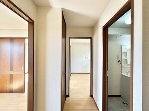 メ・ステッソ C202号-11