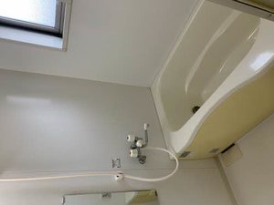 シャーメゾン知 C001号-12