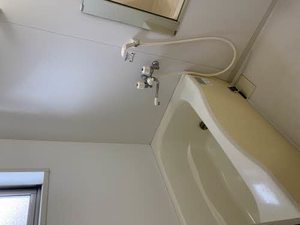 シャーメゾン知 C004号-9