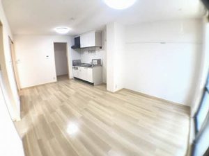 カーティアス　Ｂ 0101号-4