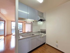 グリーンメゾン 0203号-4