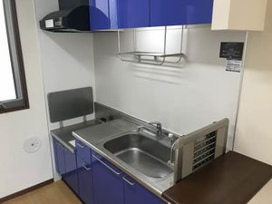 ウエストサイド　フルー 0101号-3