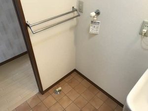 ウエストサイド　フルー 0101号-8