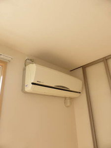 Ｌｉｌｉｅｎ　Ｂｅｒｇ　Ｍ 000C号-9