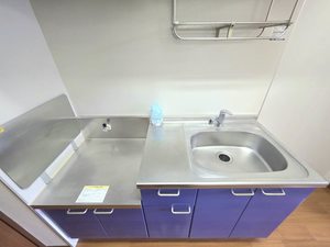 キャロル 0202号-9