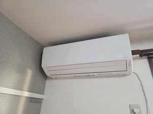 キャロル 0202号-15