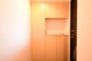 ＣＡＳＡ　ＢＲＩＧＨＴ C203号-10