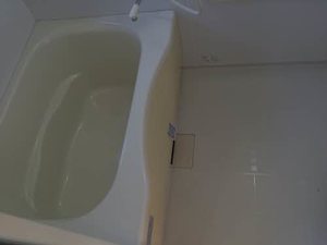 マルベリー B201号-5