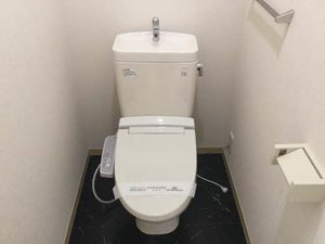 スメルズＨＩＳＡＫＡ B101号-9