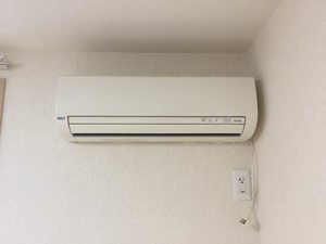 スメルズＨＩＳＡＫＡ B101号-11