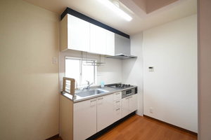 サクラヴィアーレ大浜 D201号-4