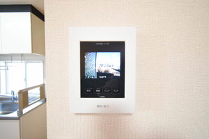 サクラヴィアーレ大浜 D202号-12