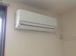 アルカディア B101号-1