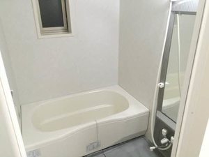 カーサフェリス 0102号-11