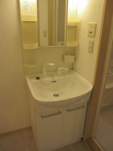 ルミエールメゾン 0101号-8