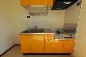 コーポリブェール 0202号-5